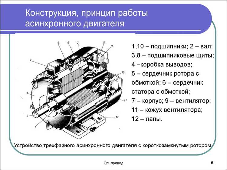 Техническое обслуживание и ремонт вентильного двигателя в шуруповерте