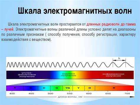 Волны идущие от нагретых тел это какие волны Волны идущие от нагретых тел это какие волны