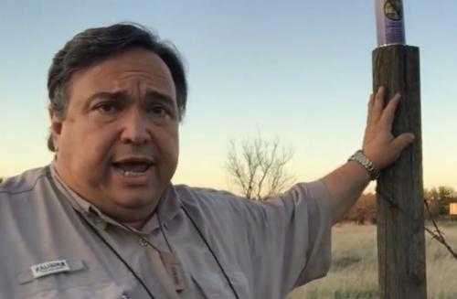 Когда именно весной нужно начинать побелку