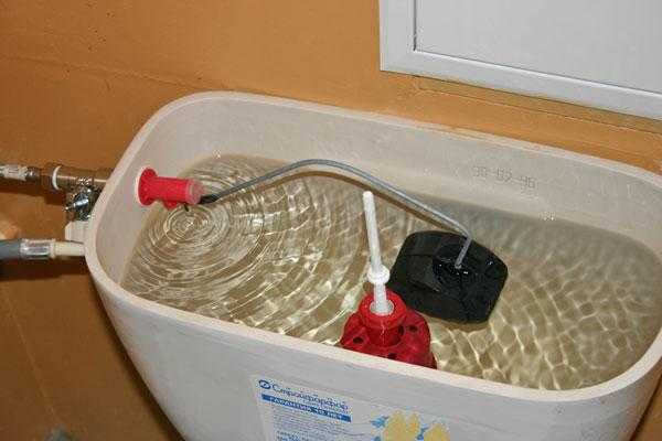 Что происходит при контакте холодной воды с бачком унитаза?