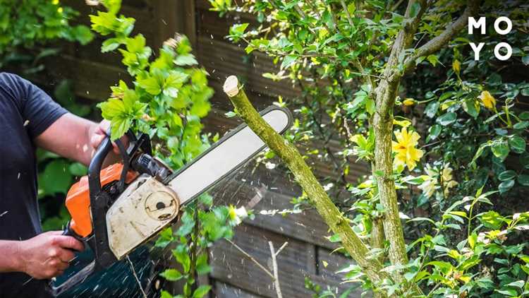 Особенности обслуживания и хранения бензопилы зимой