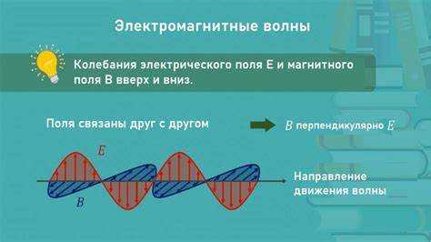 Почему электромагнитные волны могут распространяться в вакууме, а механические – нет