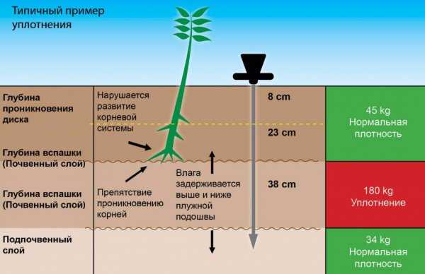 Подходит ли бензобур для выкапывания ям под столбы и саженцы