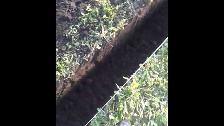 Как выбрать мотокультиватор для рыхления почвы на даче