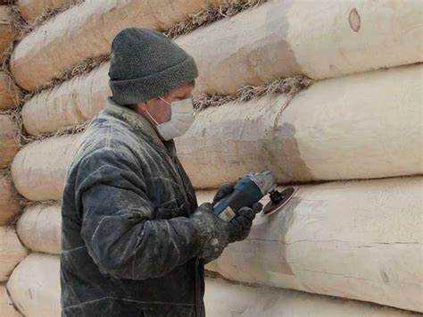 Чем отличается ленточная шлифмашина от орбитальной при обработке сруба