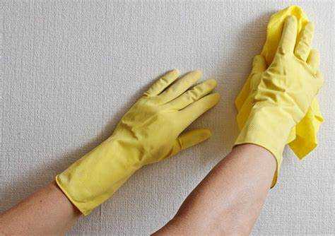 Выбор безопасных чистящих средств для флизелиновых обоев