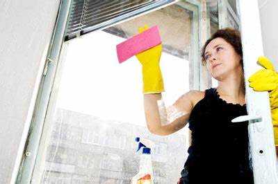 Можно ли мыть окна снаружи обычным моющим для посуды