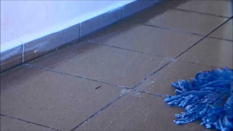 Как правильно увлажнить пол, чтобы не повредить краску