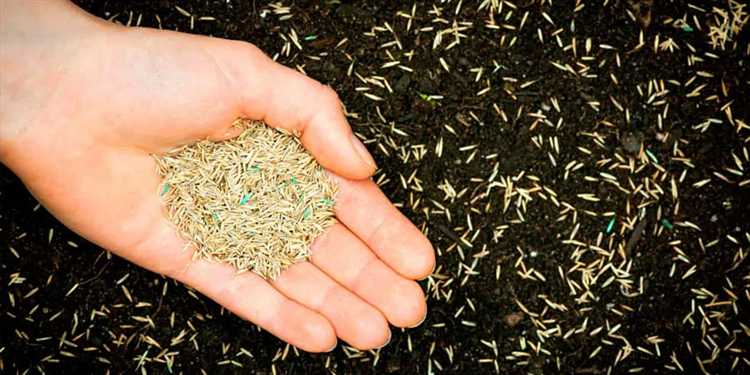 Использование агроволокна: плюсы, минусы и особенности