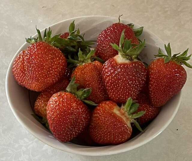 Правила подготовки и разведения растворов для обработки клубники