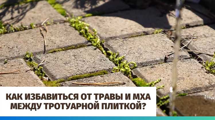 Технология механической очистки плитки от мха