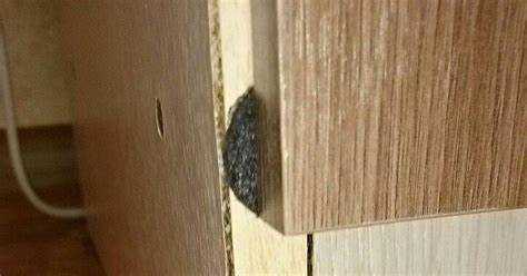 Выбор ламината с влагостойкими замками и заводской пропиткой