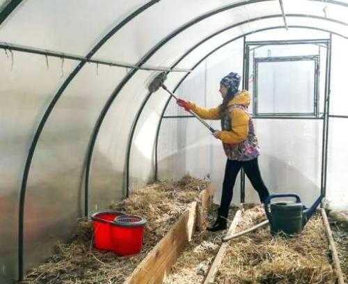 Выбор безопасных инсектицидов для обработки растений в теплице