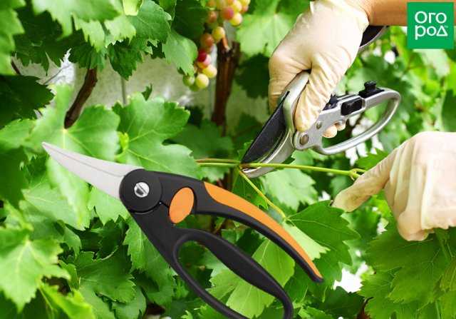 Подходят ли многофункциональные инструменты с лезвием для садовых работ