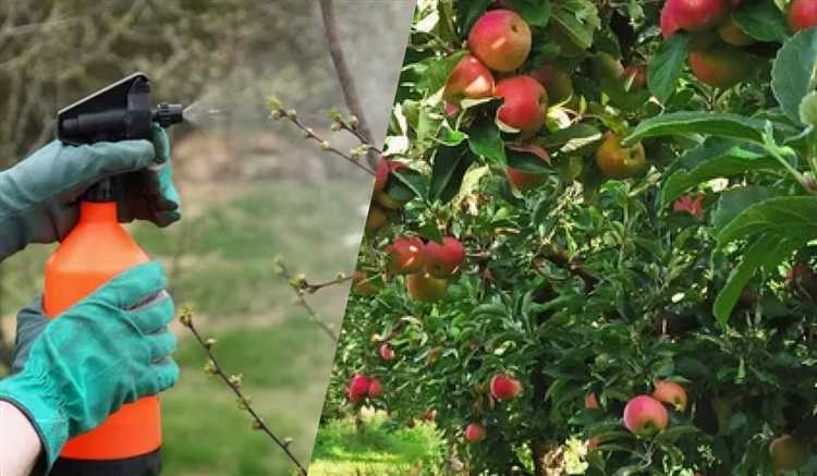 Безопасность при весенней обработке сада