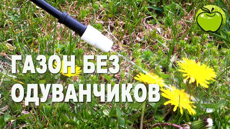 Правила стирки одежды после обработки пятна сока одуванчиков