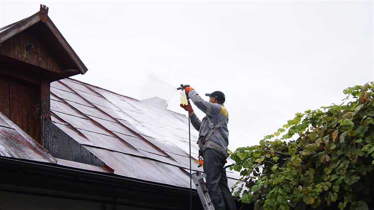 Чем покрасить ржавую крышу дома из железа