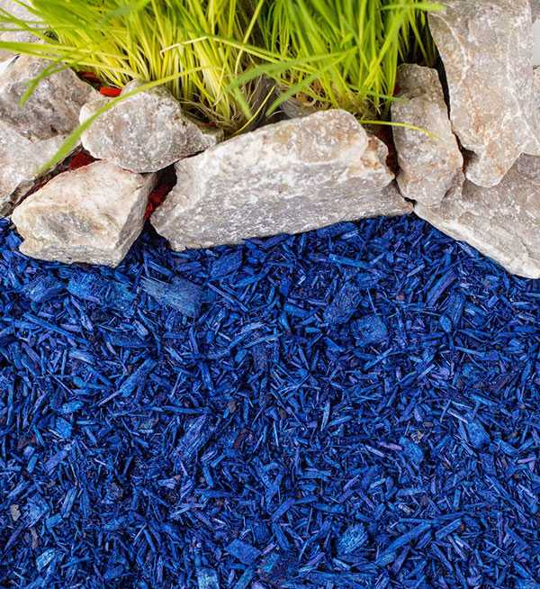 Влияние состава краски на безопасность почвы и растений