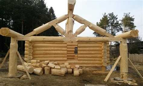 Когда применять антисептики и нужно ли их сочетать с краской