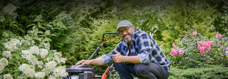 Чем скосить сухие стебли травы на целине