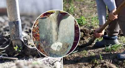 Использование технических и бытовых смазок: плюсы и минусы