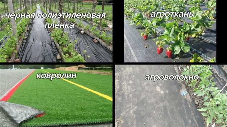 Чем засеять участок от сорняков весной на все лето