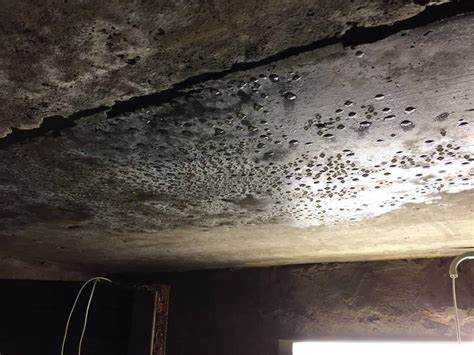 Убедитесь, что материал засыпки сухой, очищен от постороннего мусора и имеет фракцию, соответствующую особенностям конструкции. Равномерно заполните пространство, избегая появления пустот, что снизит теплоизоляционные свойства слоя.