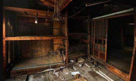 Чем засыпать подполье от сырости в деревянном доме Чем засыпать подполье от сырости в деревянном доме