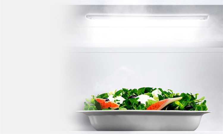 Поведение различных типов лампочек при хранении в холодильнике