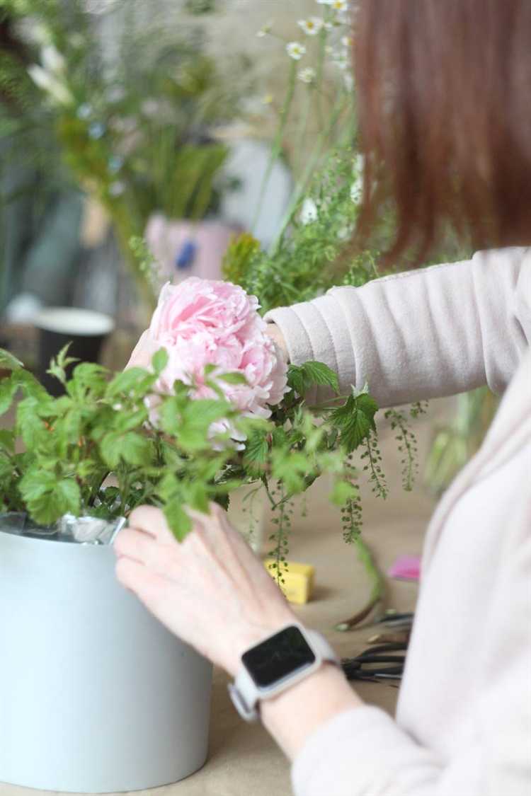 Как аккуратно распаковать пионы из коробки без повреждений