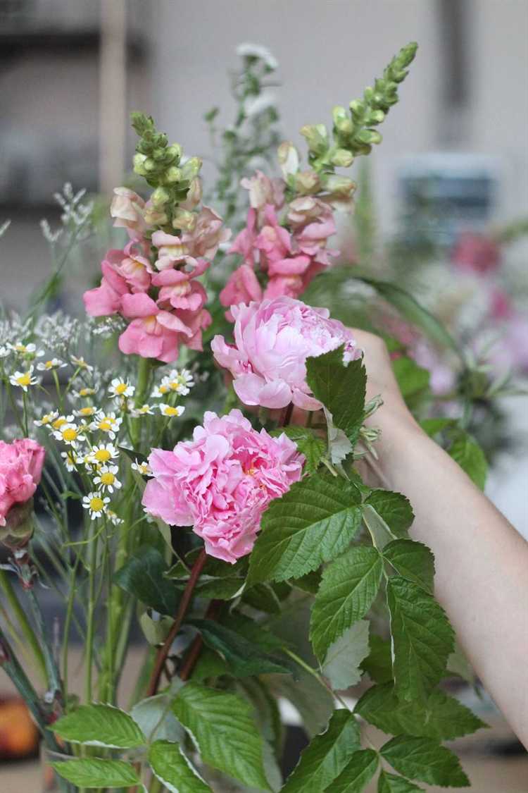 Как предотвратить болезни и вредителей при уходе за пионом