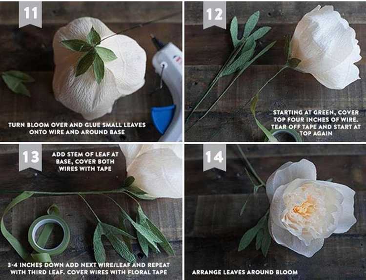 Как выбрать правильный грунт и емкость для посадки пиона