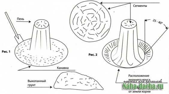Применение пней для обустройства компостной кучи