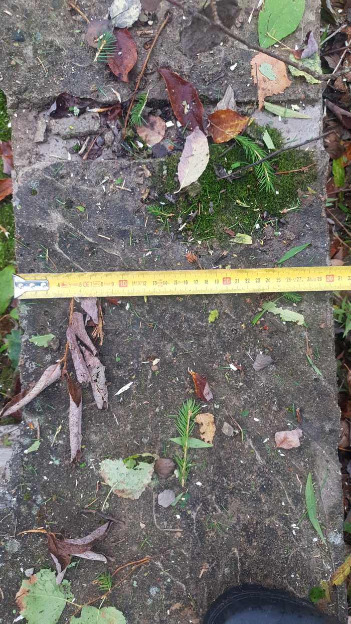 Как определить пригодность старого фундамента для повторного использования