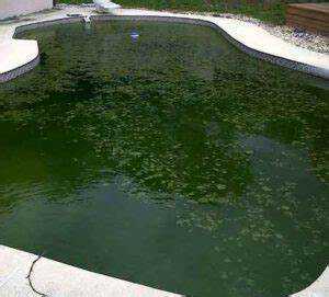 Поддержание pH воды для сдерживания водорослей