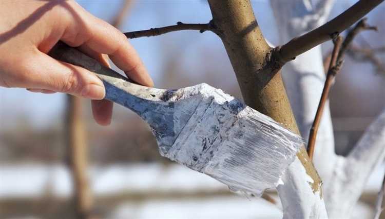 Зачем добавляют поваренную соль в состав побелки