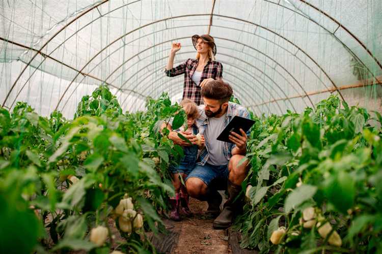 Как выбрать пленку для теплицы: основные критерии