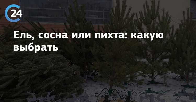 Как различаются прочность и износостойкость ели и сосны