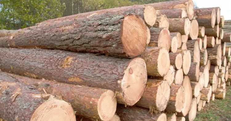 Насколько легко обрабатывать ель и сосну при изготовлении мебели