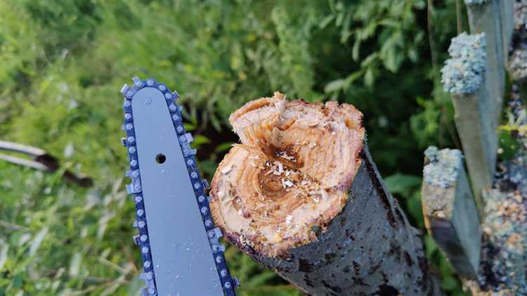 Удобство работы в ограниченном пространстве: что выбрать