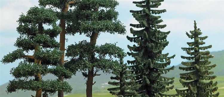 Сосна или ель для строительства: что выбрать