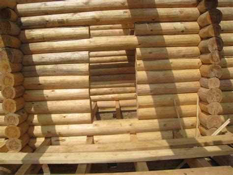 Что лучше сосна или ель для строительства