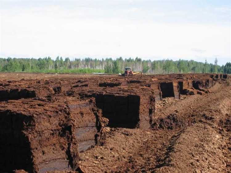 Подходит ли торф и уголь для печного отопления в частном доме