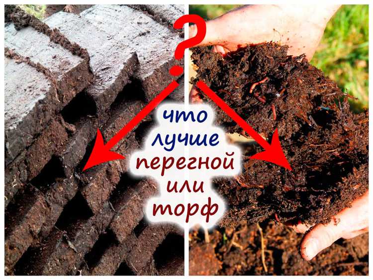 Использование торфа и угля в качестве удобрений: что важно знать