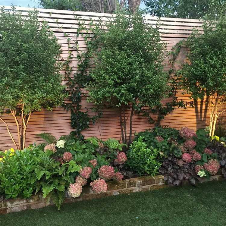 Что можно посадить в тени между домом и забором