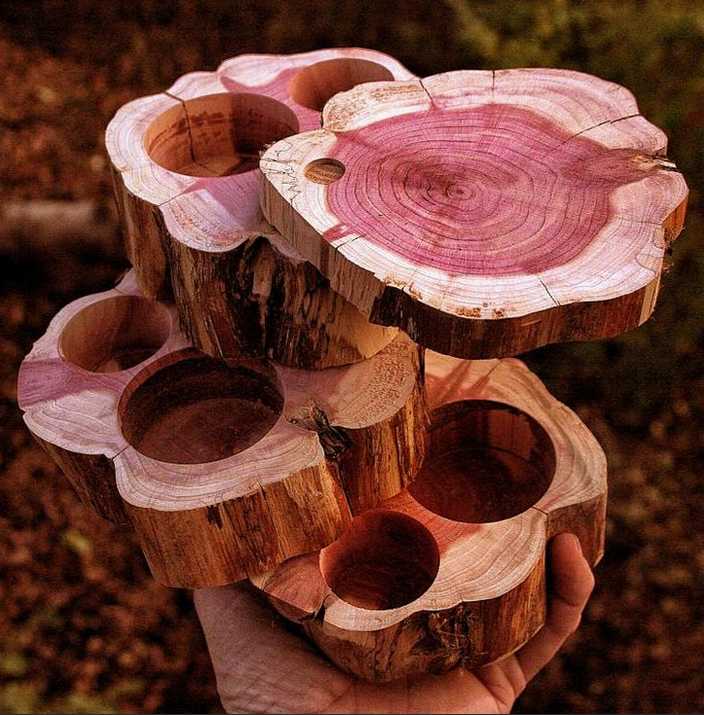 Преимущества тополя в производстве фанеры и плитных материалов