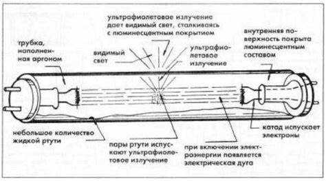 Почему люминесцентные лампы нельзя выбрасывать в обычный мусор