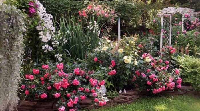 Как подобрать фоновые растения с учётом кислотности и структуры почвы