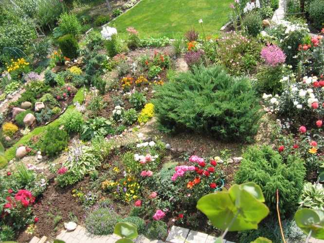 Устойчивость тенелюбивых растений к перепадам влажности в альпинарии