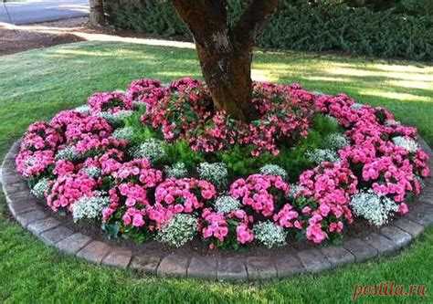 Лучшие многолетники для посадки на месте бревен